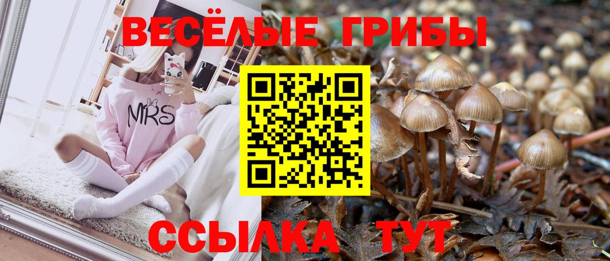 Галлюциногенные грибы Magic Shrooms Зеленодольск