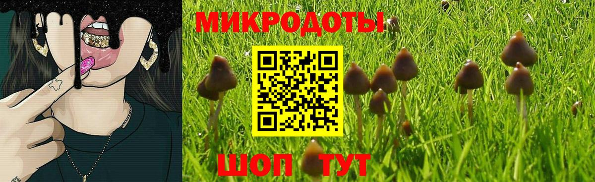 где купить наркоту  Вход с VPN  Зеленодольск  Псилоцибиновые грибы MAGIC MUSHROOMS  Галлюциногенные грибы Psilocybine cubensis 